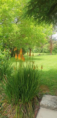 G�te Du Tilleul 4 Pers.