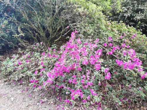 Hostal Ch�teau De Launay Guen
