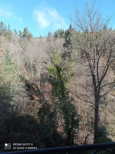 Apartamento Appartement Avec Vue Sur La For�t