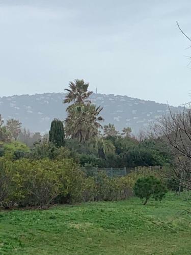 La Villa Pura Vida