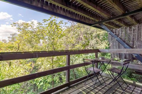 Apartamento Hamac Suites - City Suites Jungle 1