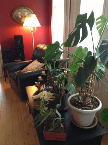Bed & Breakfast Le G�te Des Soeurs