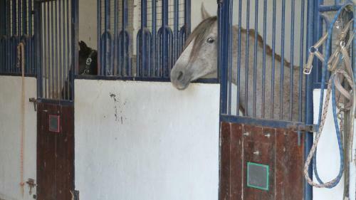 G�te Et Relais Equestre De Marie