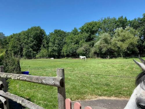 Propri�t� En Sologne Avec �tangs Et Box � Chevaux