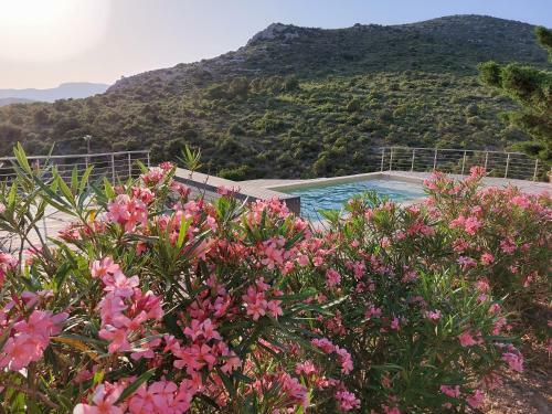 Lodge Avec Vue Imprenable !