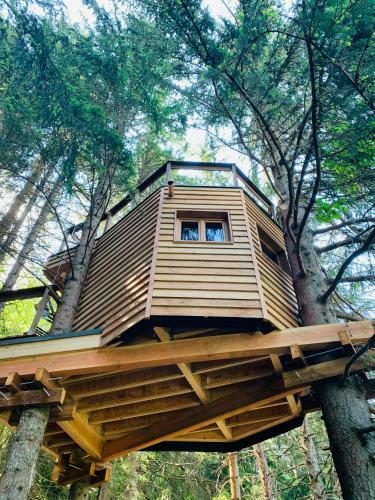 Bed & Breakfast Cabane Dans Las Arbres - Valmo'insolite