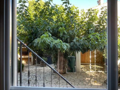 Apartamento Reine Du Sud