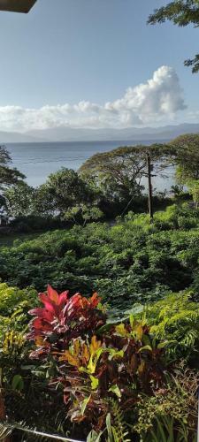 Gingerbread Cottage And Studio Fiji
