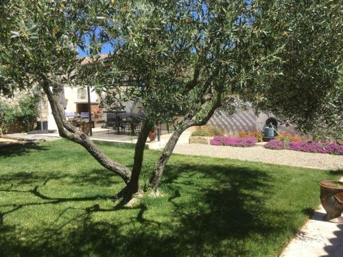Mas Esteve Entre Mer Et C�vennes