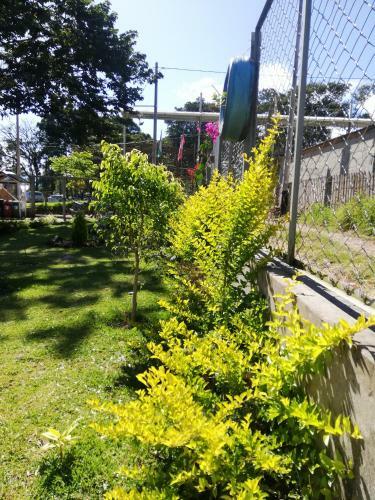 Caba�a Love Oxapampa