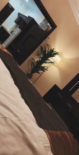 Hotel ??? ?????? ??????? ????????