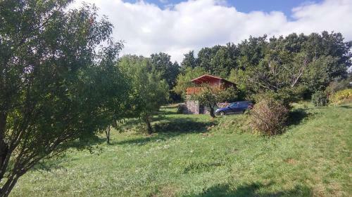 K�li View