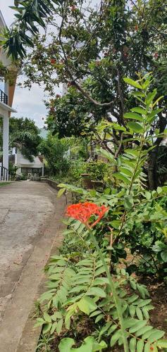 Bed & Breakfast Lola's Guest House