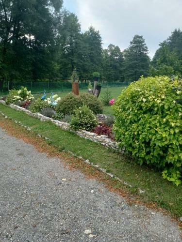 Apartamento Agroturystyka Le?na Ostoja Borek