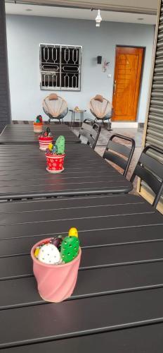 Hostal Ocean Lodge
