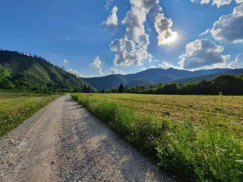 The Green House - Apuseni Mountains