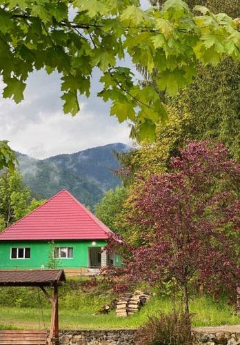 The Green House - Apuseni Mountains