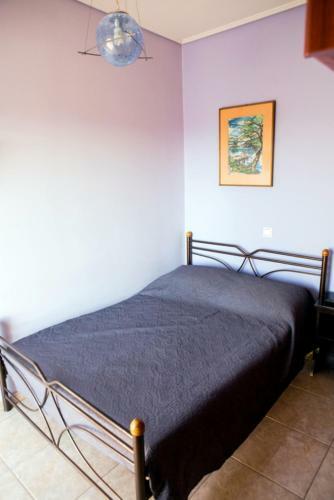 Apartamento Mozartina's House