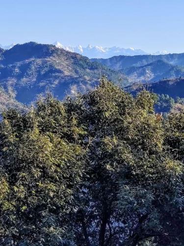 Jannat Cottage Ramgarh Uttarakhand