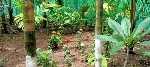 Sherbaug Villa