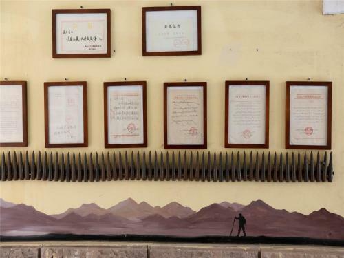 Wheat Youth Hostel