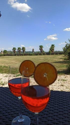 Villa Piovene Apartments