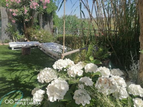 Apartamento Lagoon Hause - Residenza Del Sole