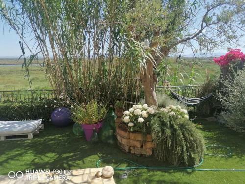 Apartamento Lagoon Hause - Residenza Del Sole