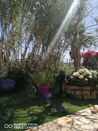 Apartamento Lagoon Hause - Residenza Del Sole