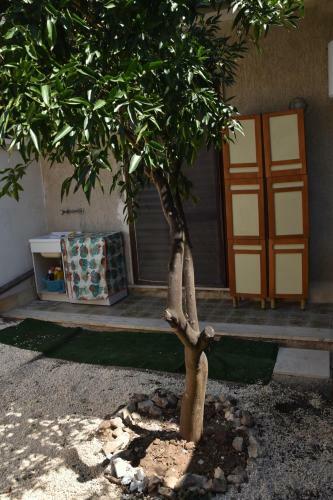 Apartamento Appartamento Con Parcheggio Privato E Giardino