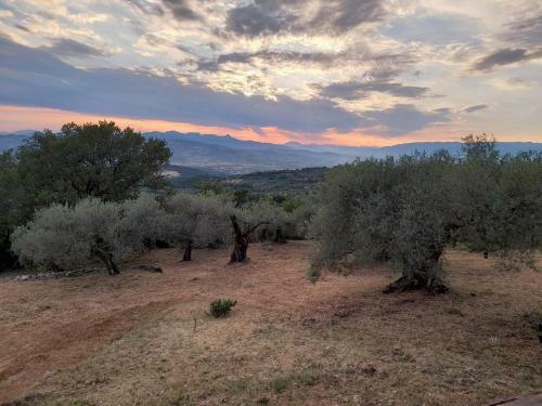 Bed & Breakfast Casa Annella