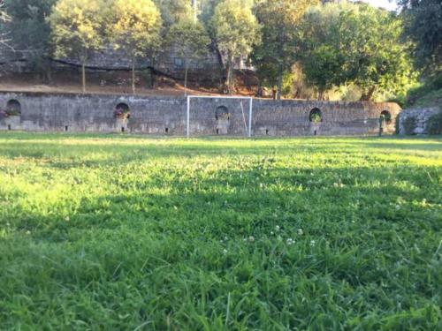 Apartamento Un Paradiso Tra Gli Ulivi