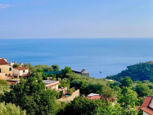 Apartamento Casa D'e