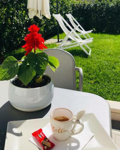 Hostal Le Stanze Guesthouse