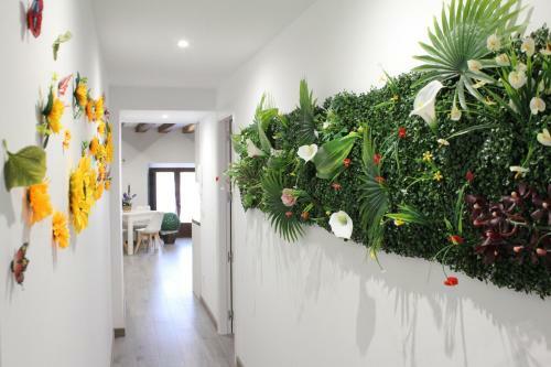 Apartamentos La Camelia
