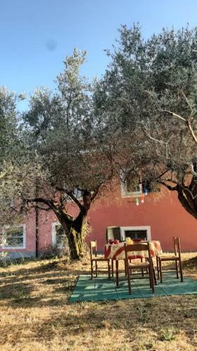 Apartamento Cascina Delle Rose