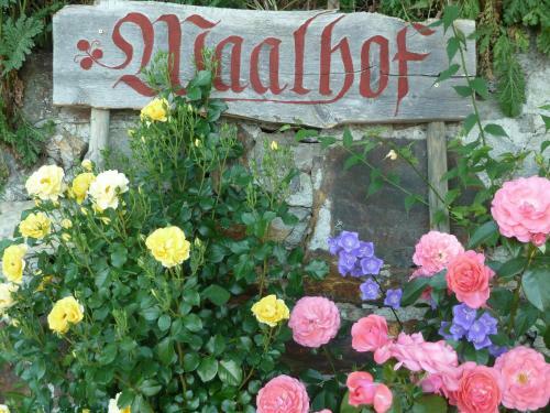 Apartamento Waalhof Ferienwohnung Mohnblume