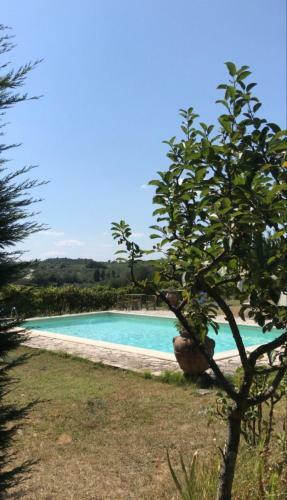 Ludovica?s Home Casa Vacanze