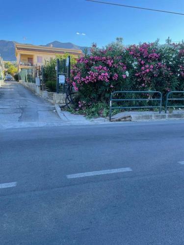 Limoneto Vista Mare
