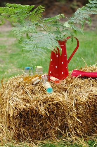Bed & Breakfast Le Nid Dans Les Bruy�res