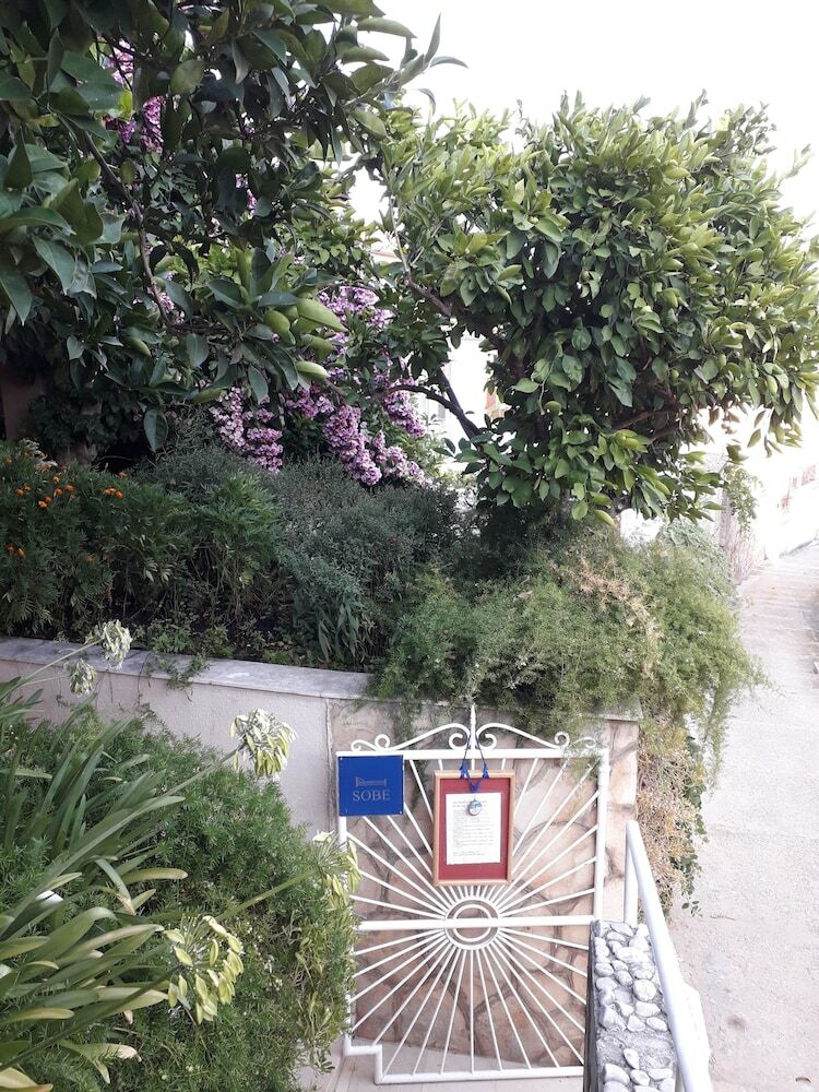 Hostal Guest House Roza