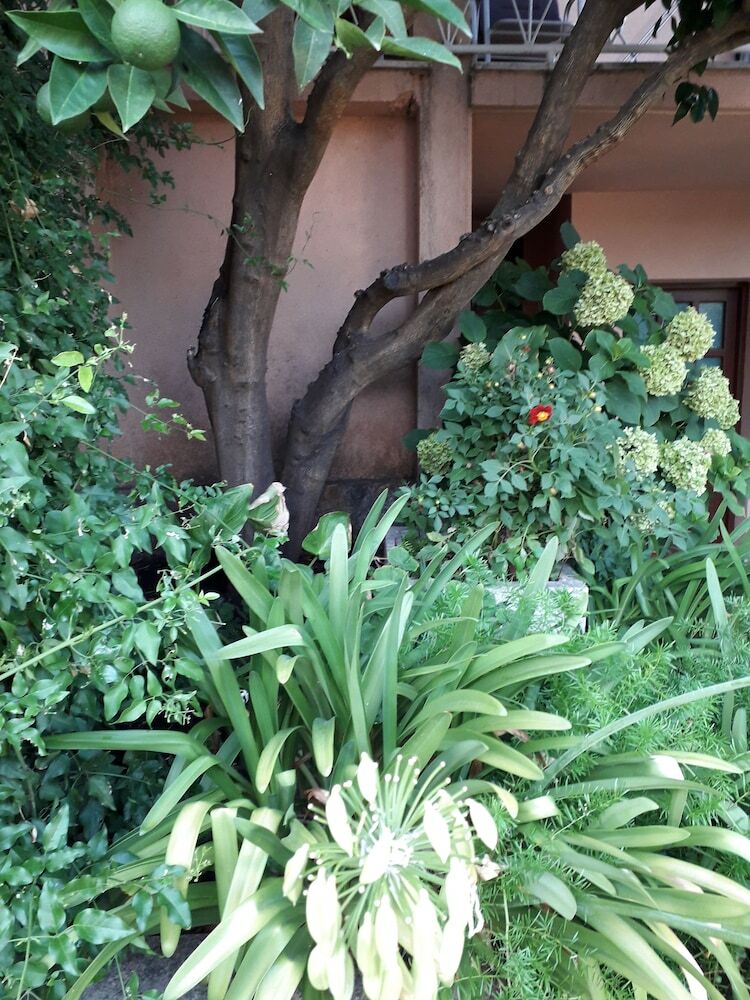 Hostal Guest House Roza