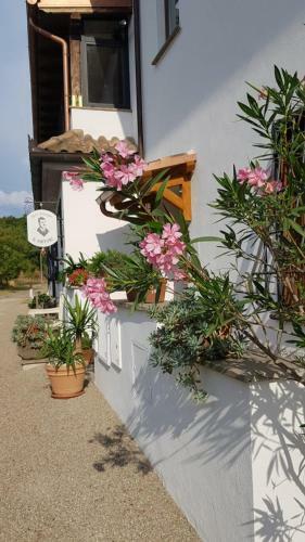 Bed & Breakfast Il Sartore