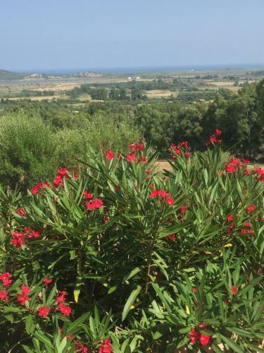Bed & Breakfast La Rosa Dei Venti