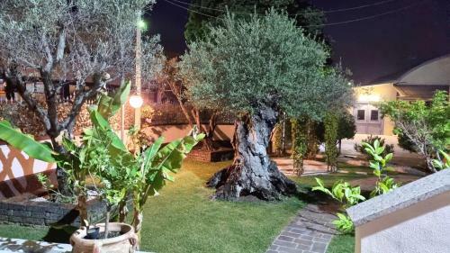 Apartamento Comfort - Appartment - Pool