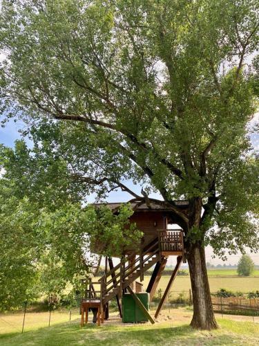 Casa Sull'albero Di Fabienne