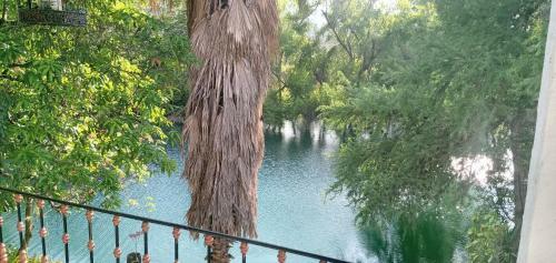 Hostal Caba�as Rio Tamasopo