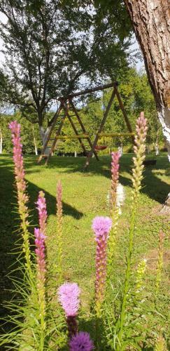 Holiday Home, Apartman Obajdin