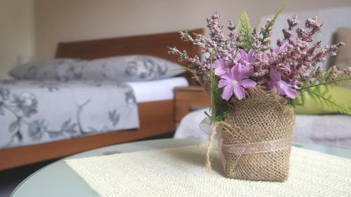 Adria Apartment