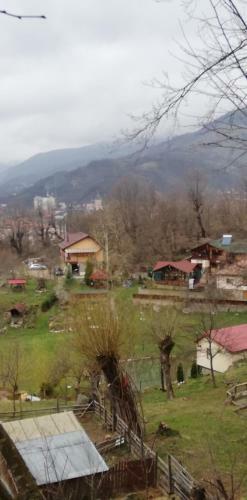 Villa Pensiune Piatra Mare